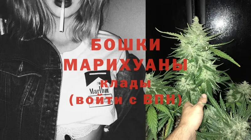 Бошки Шишки OG Kush  OMG ССЫЛКА  Анива 